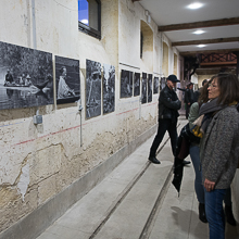 Exposition Vacherie Blanquefort 2019