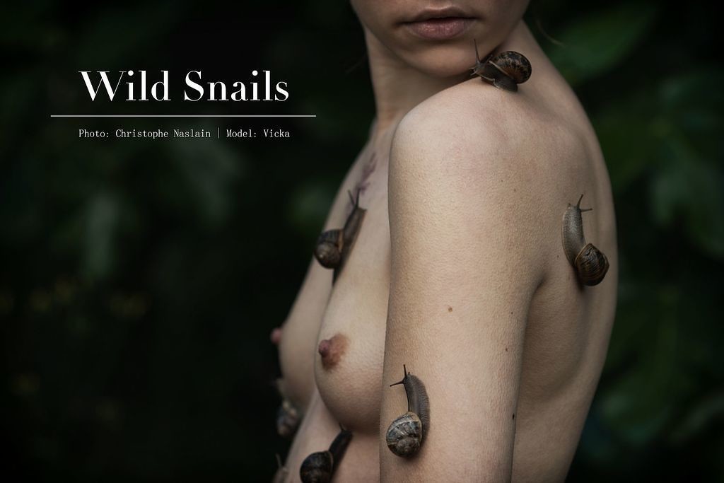 Wild snails n°7
