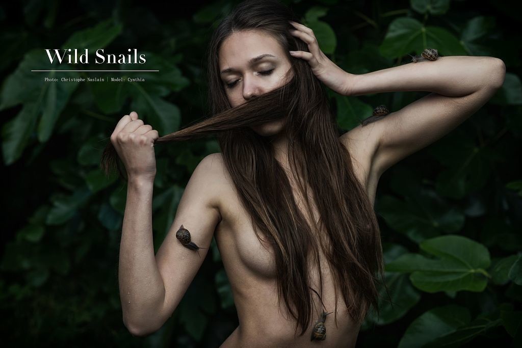 Wild snails n°6