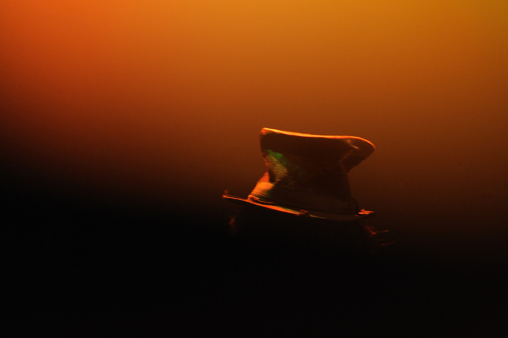 The man with the hat