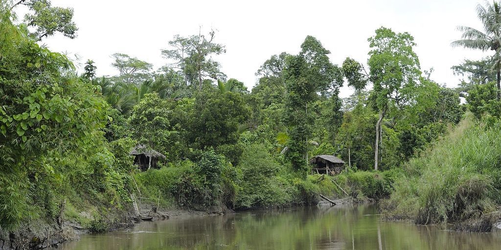 Le long de la rivière