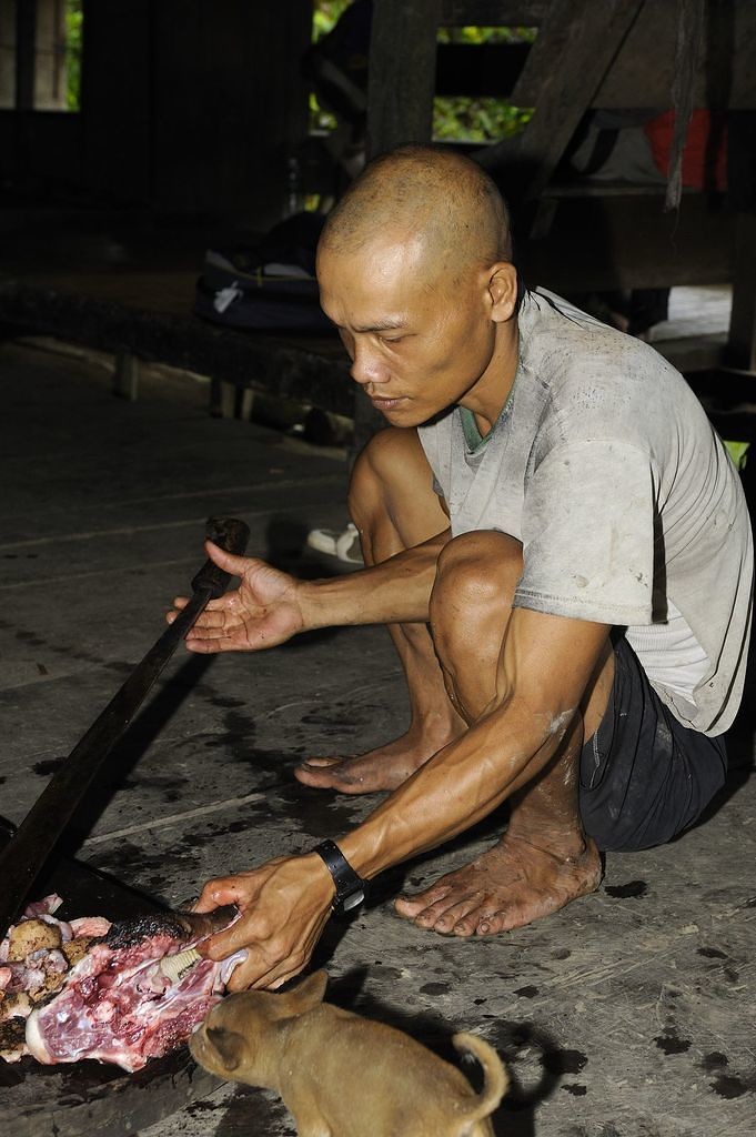 Découpage du cochon à la machette