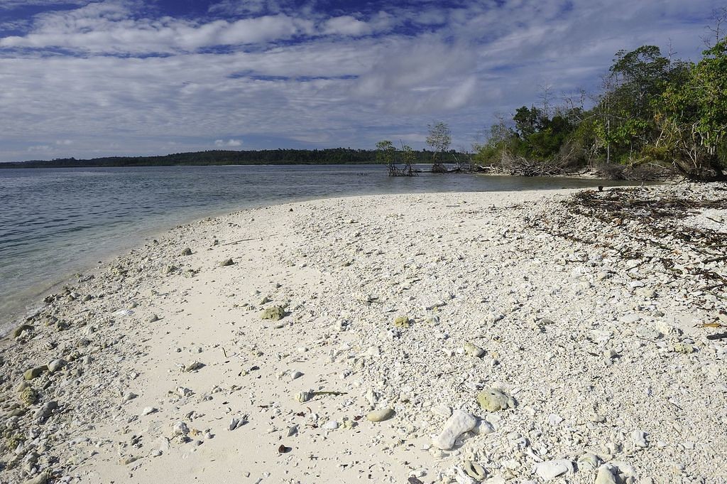 Plage de coquillages