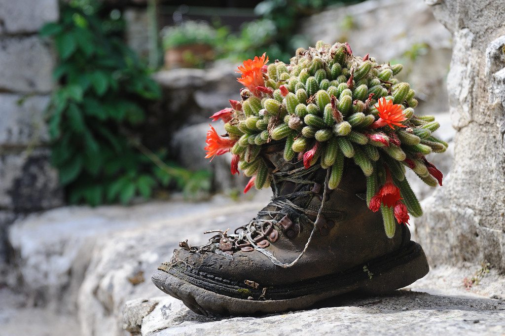 Recyclage d'une vieille chaussure