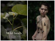 Wild snails n°5