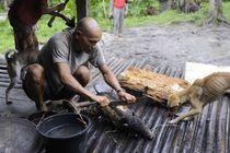 Préparation du cochon