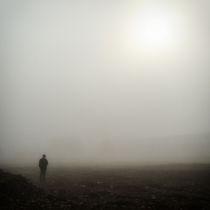 Brume matinale